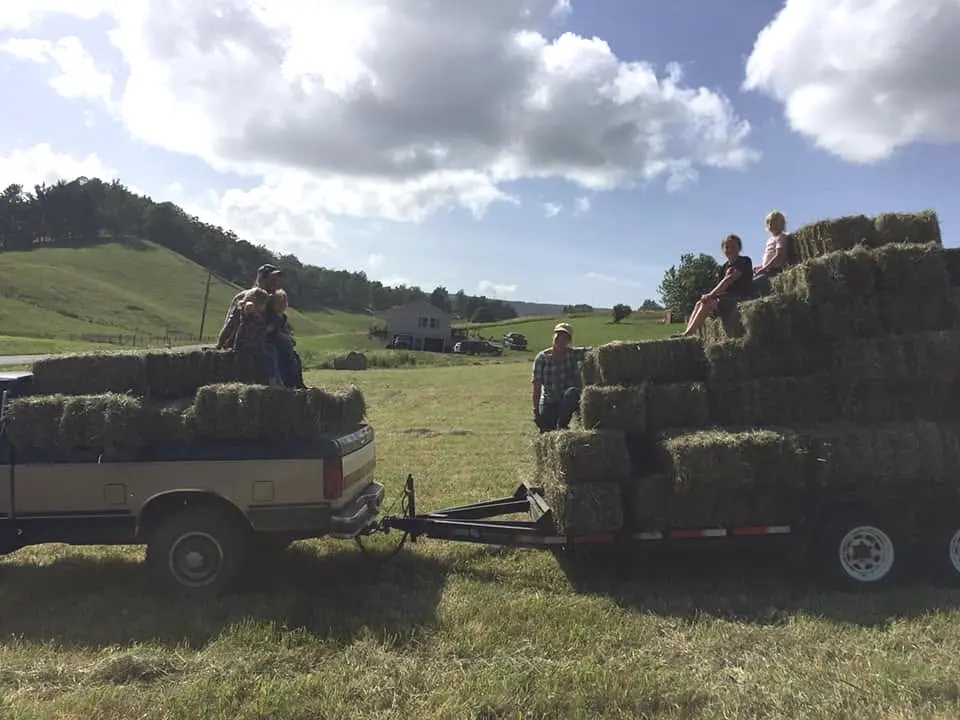 Hands-on hay work in a Blue Ridge field
