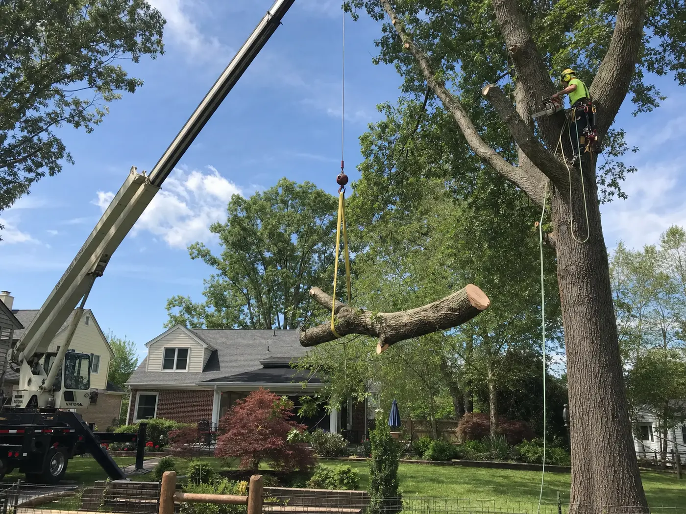 Outdoor work area with clear access beside mature trees